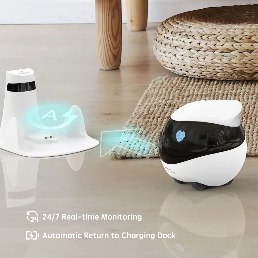 Luv Mate™Camera Robot