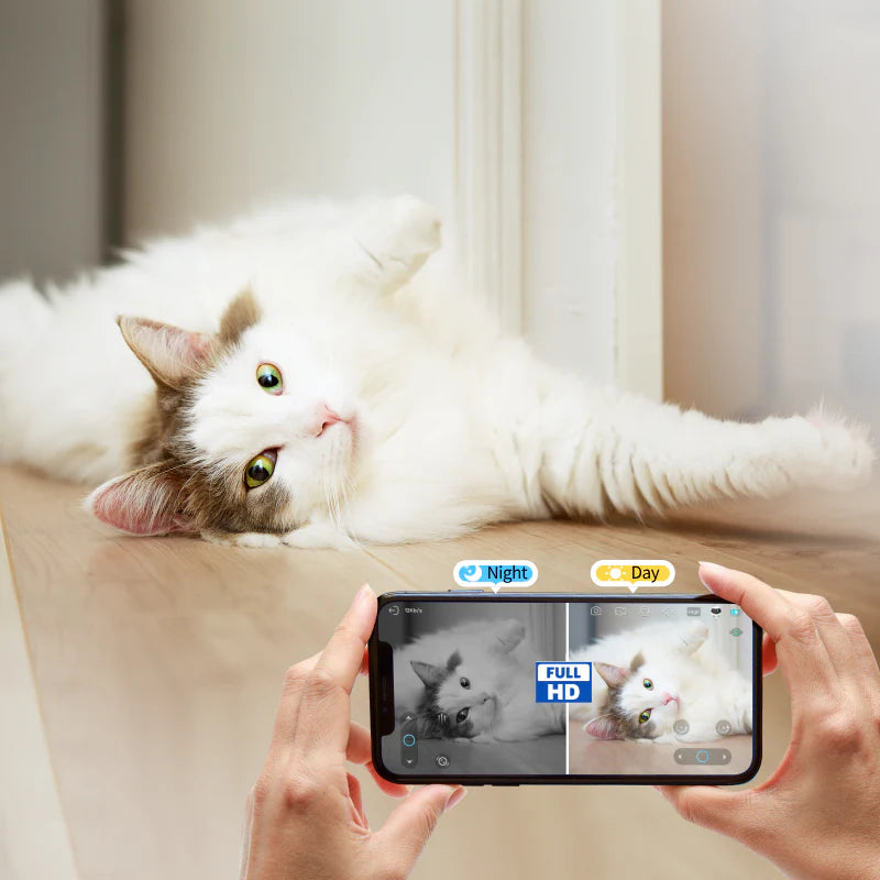 Luv Mate™Camera Robot