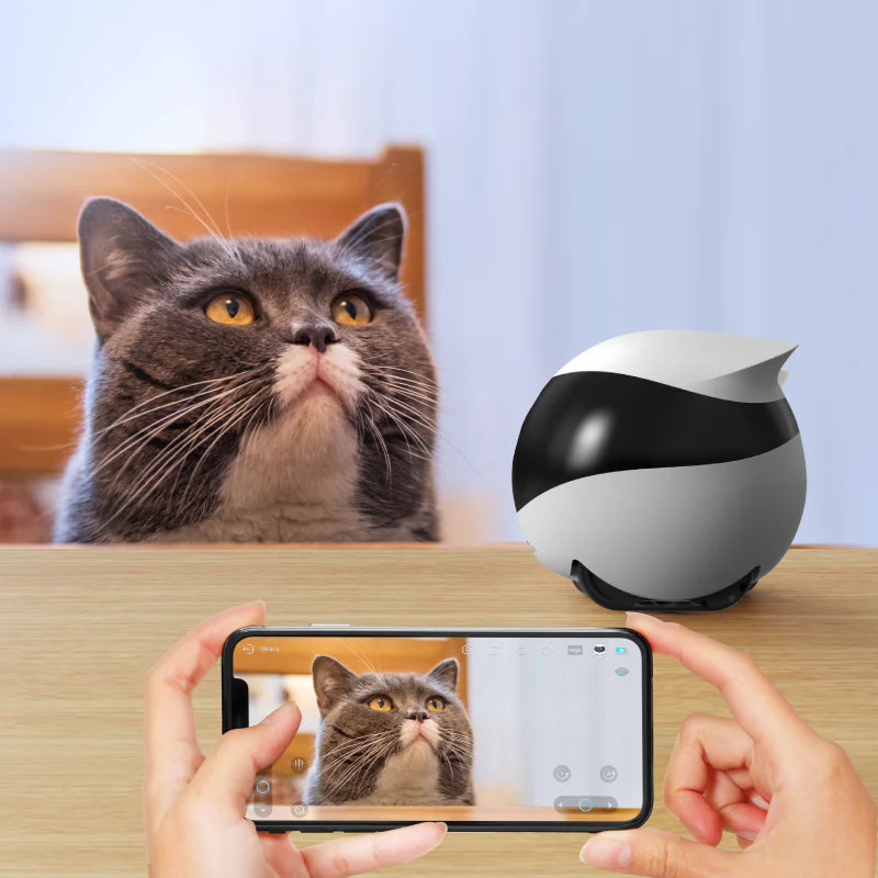 Luv Mate™Camera Robot